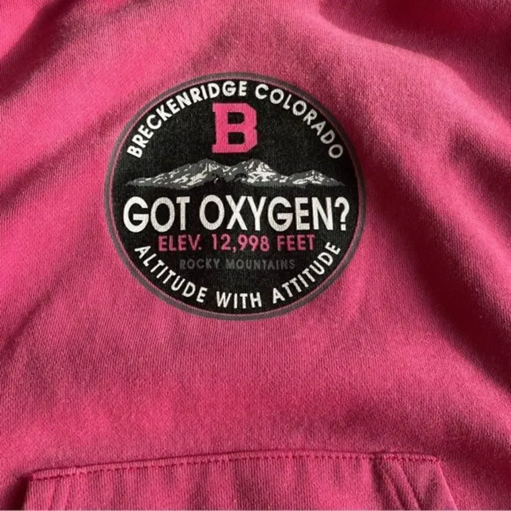 Jansport Breckenridge Colorado Hoodie - Picture 5 of 6